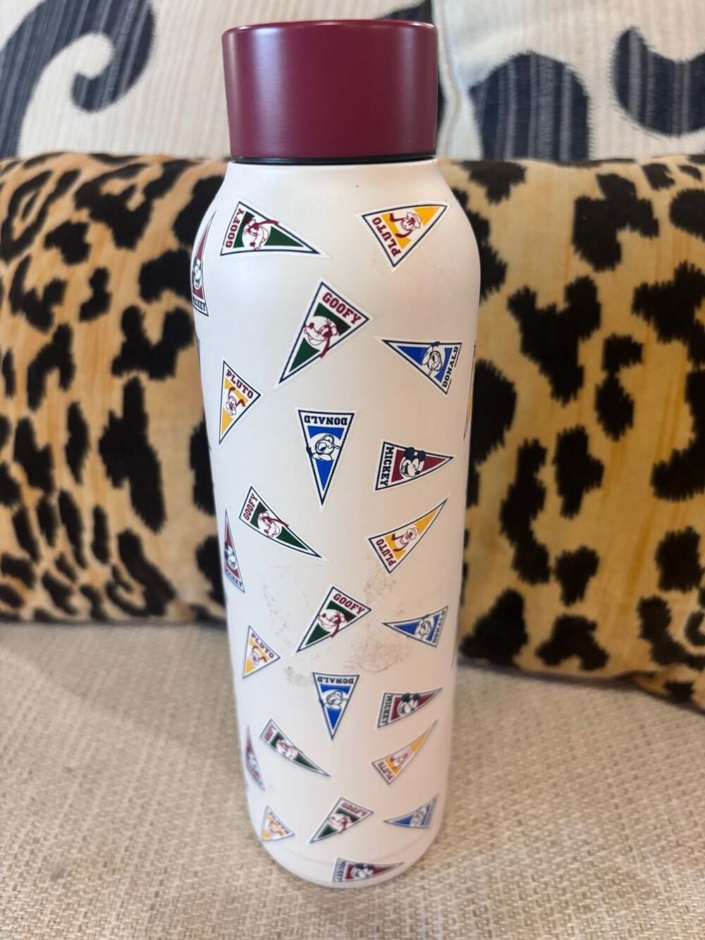 Disney Parks Mickey And Friends Water Bottle Pennant